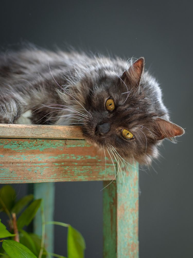 Photograph by Наталья Брюхненко