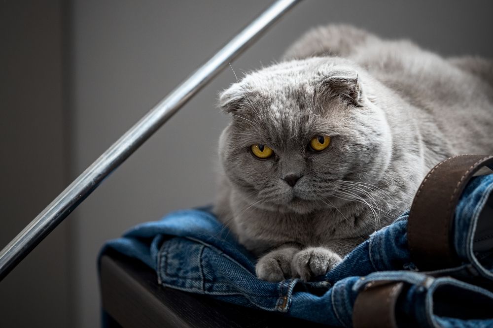 Photograph by Вячеслав Ват