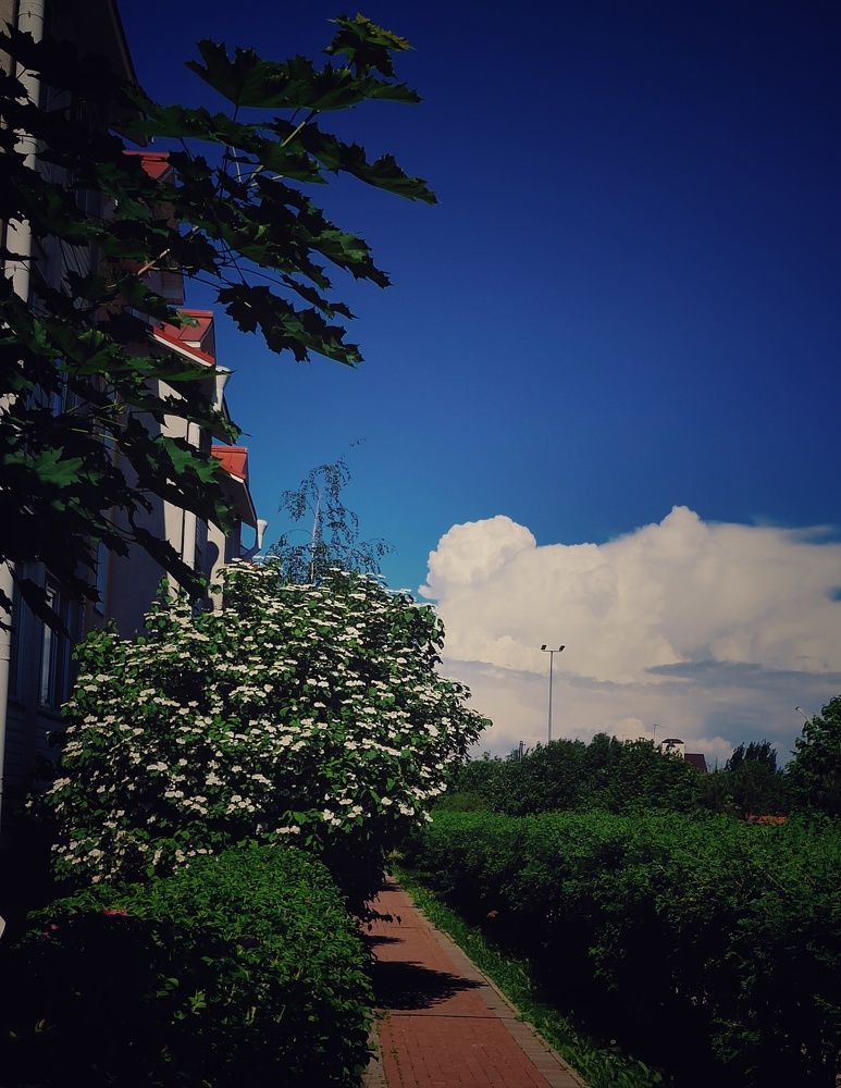 Photograph by Anastasia Uraeva