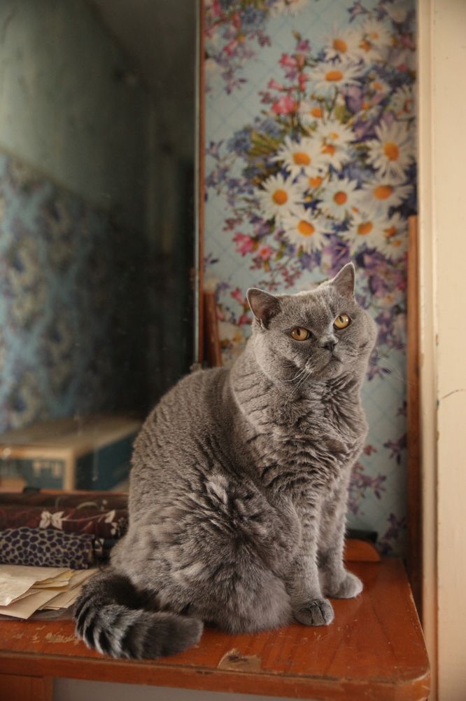 Photograph by Евфросиния Капустина