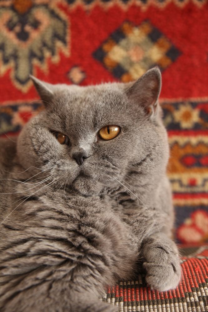 Photograph by Евфросиния Капустина