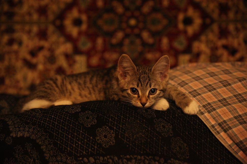 Photograph by Евфросиния Капустина