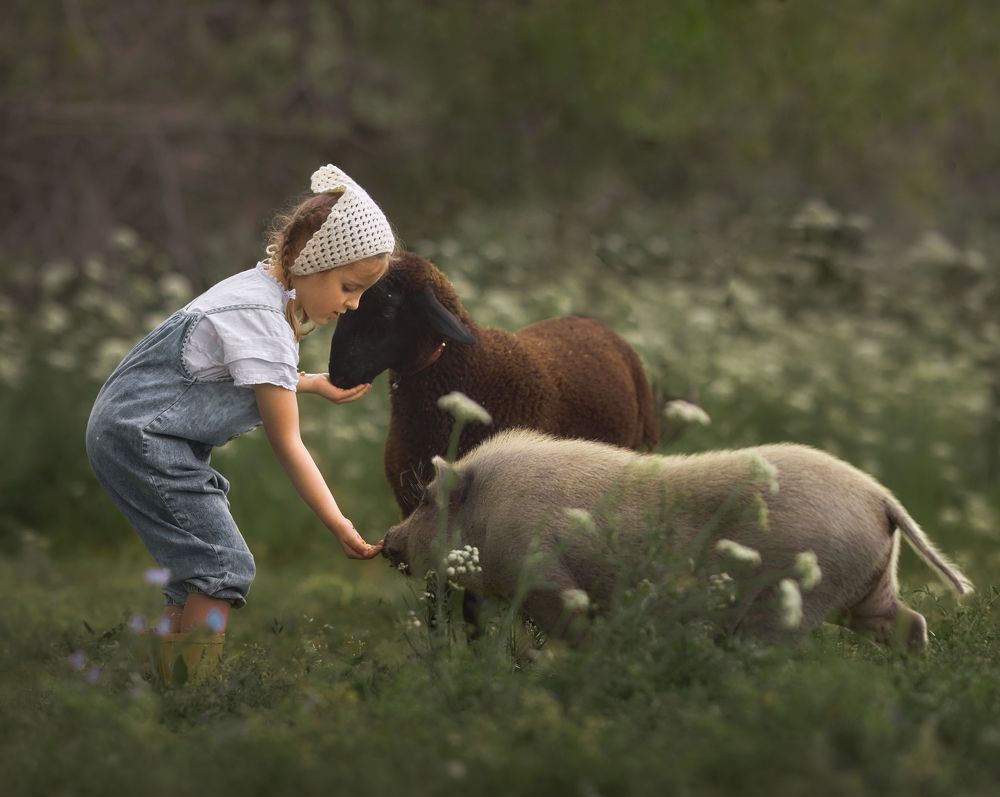 Фотография автора ANA MARIA BRAÑAS