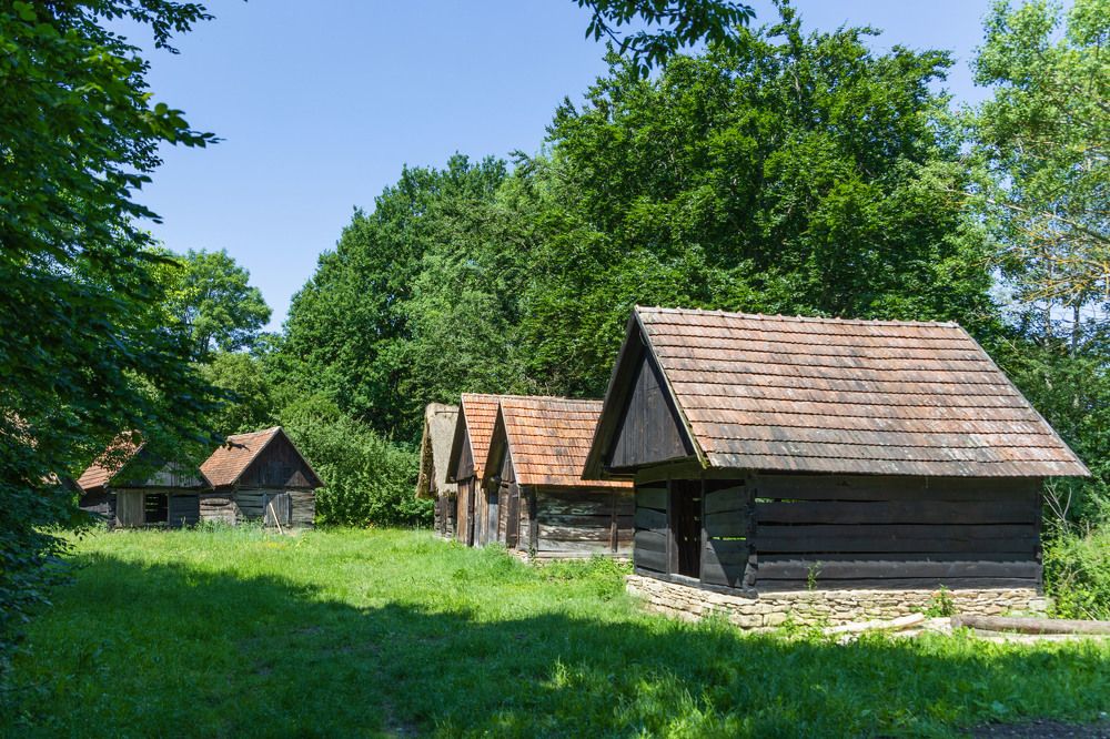 Взгляд в прошлое. A look into the past.