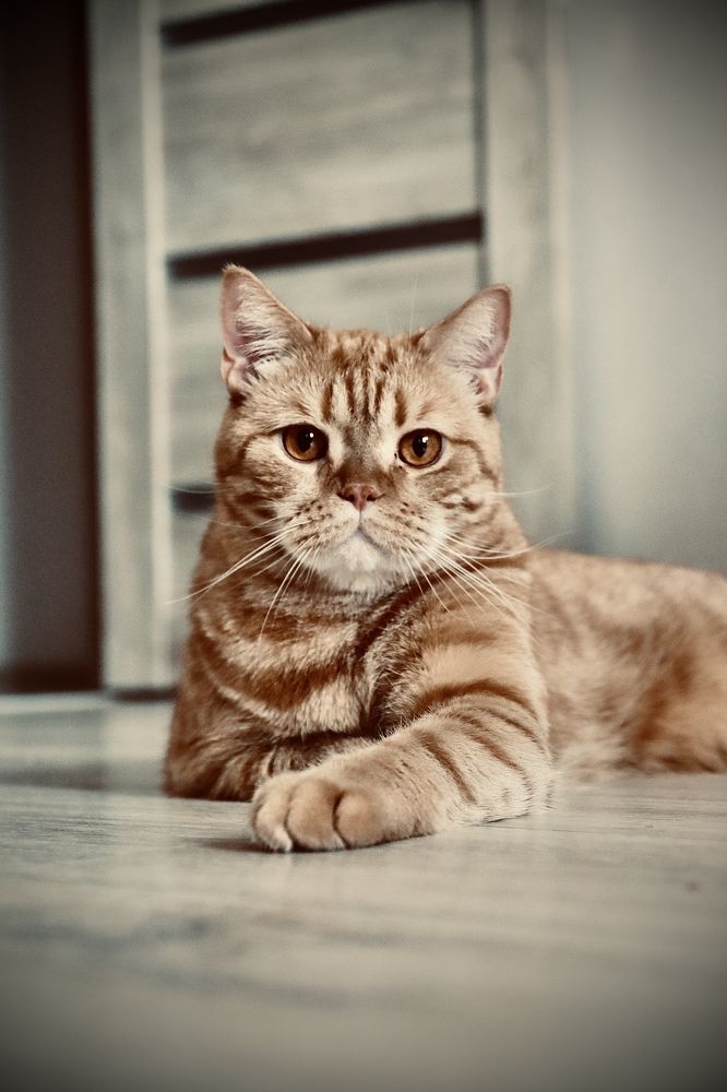 Photograph by Анна Дорофеева