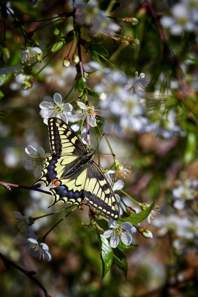 Photograph by Павел Швец