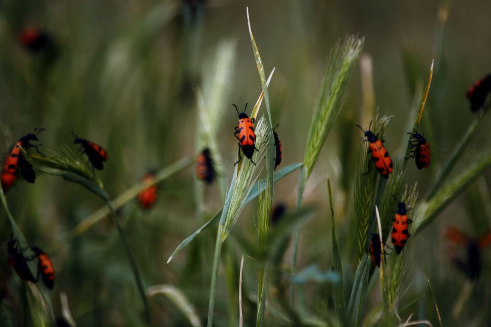 Фотография автора El Mark