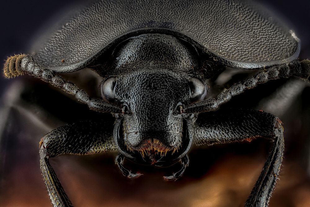 Photograph by Олег Савицкий