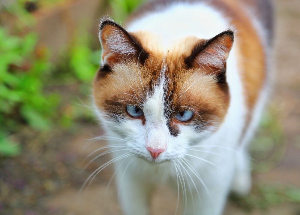 Photograph by Мария Андреева