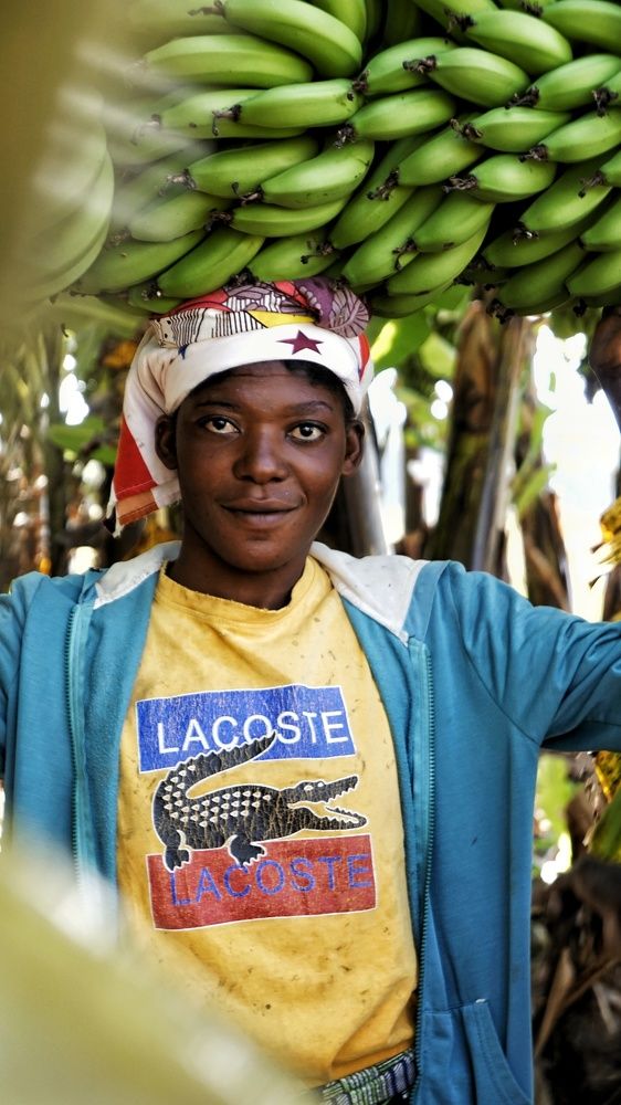 Фотография автора Youssef SahSah