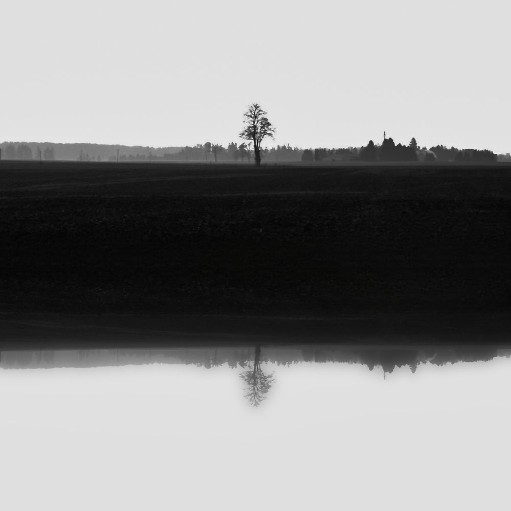 Photograph by Ludovic Punter