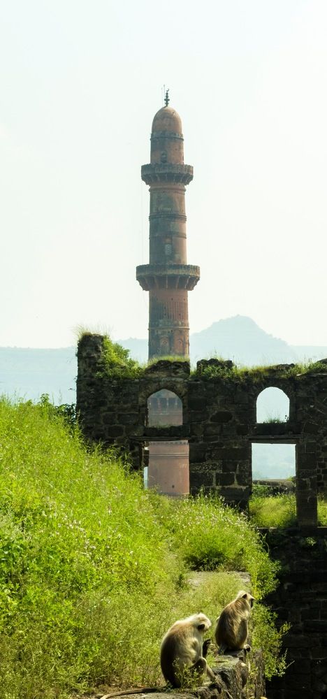 Фотография автора BIPLAB MISRA