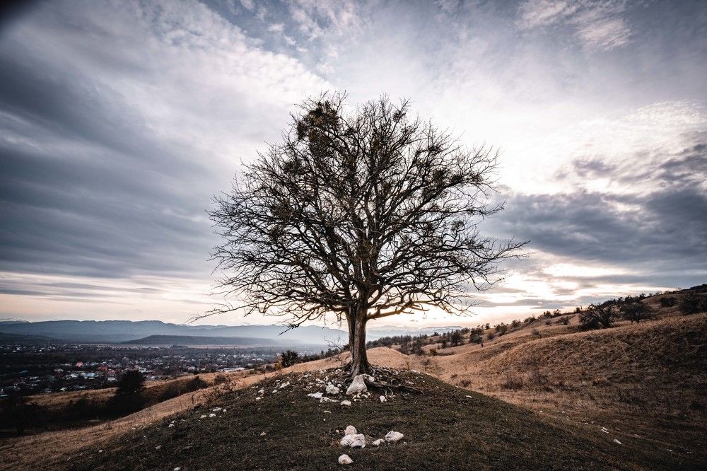 Photograph by Дмитрий Бутенко