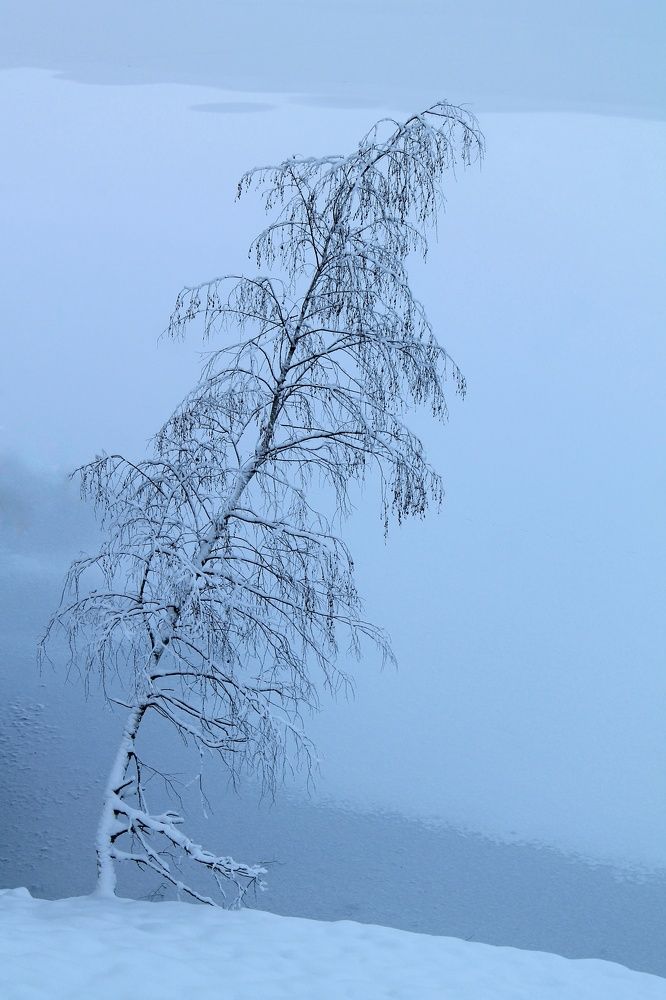 Photograph by Виктория Хмара