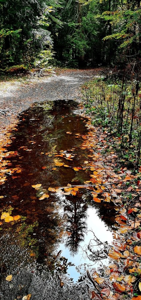 Фотография автора Rafa