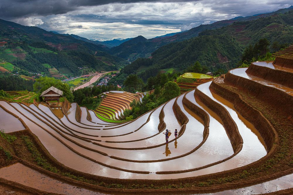 Photograph by Duc Nguyen