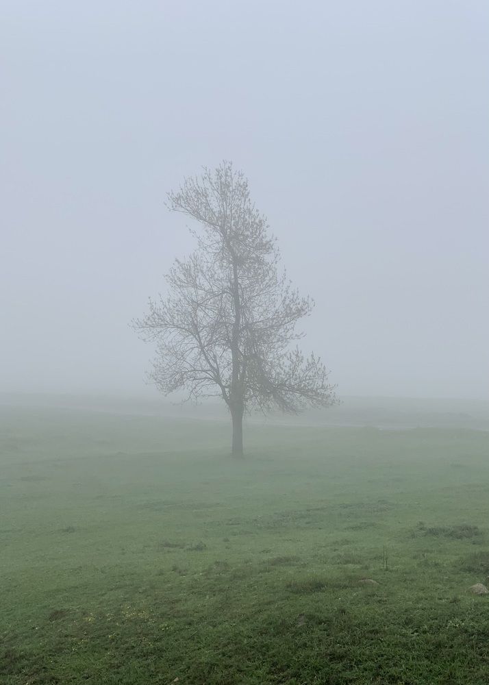 Photograph by Sarkar Arnab