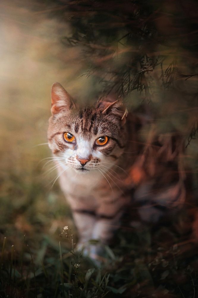 Photograph by Татьяна Максакова