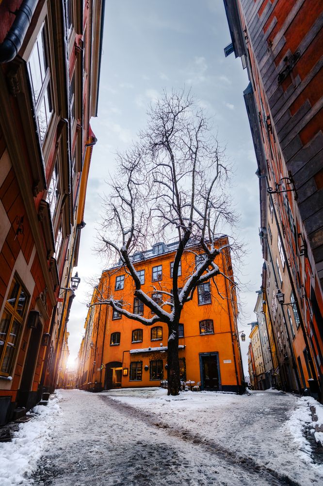 Photograph by Robert Fülöp