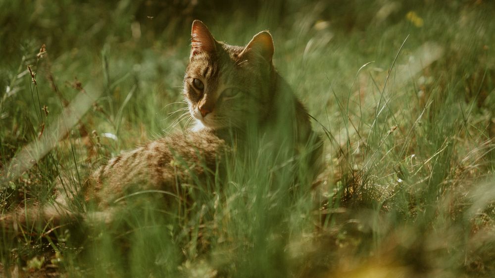 Photograph by Bolatkali Zhan