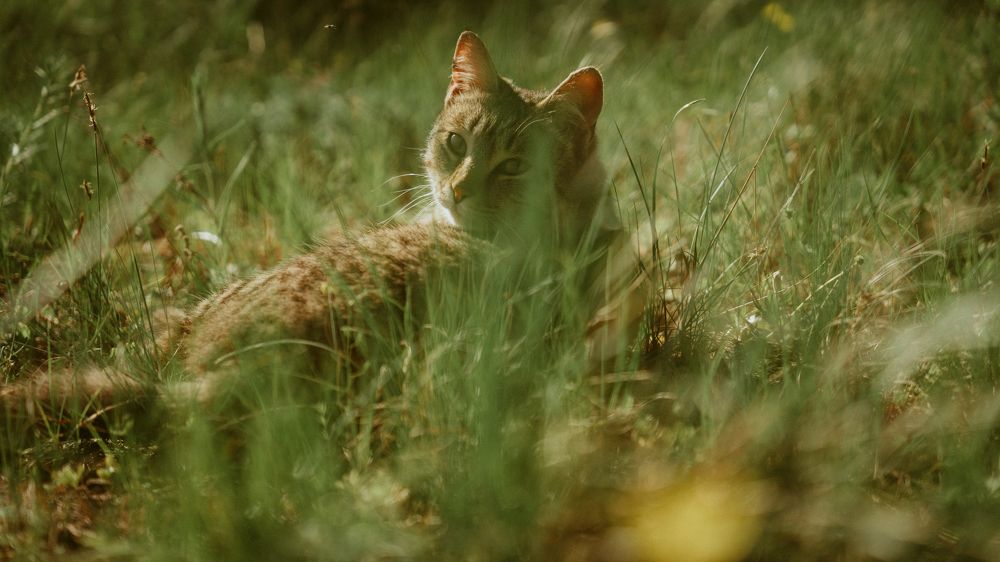 Photograph by Bolatkali Zhan