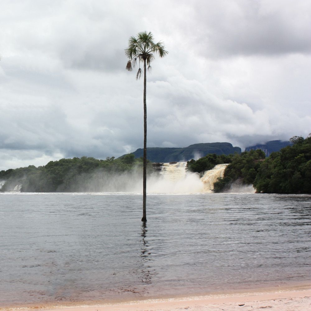 Фотография автора Марина Алексеевская