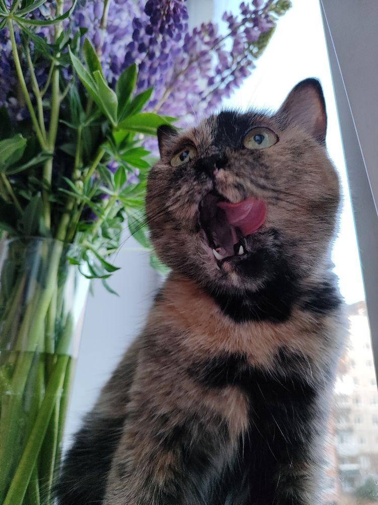 Photograph by Elvira Magsumova