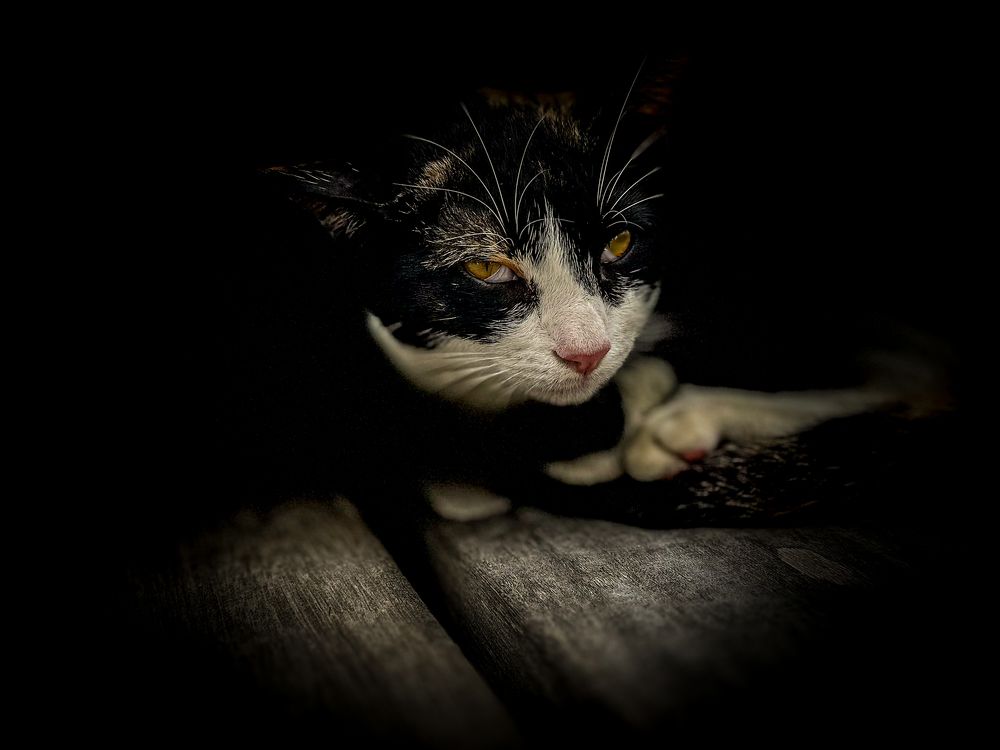 Photograph by Sarkar Arnab