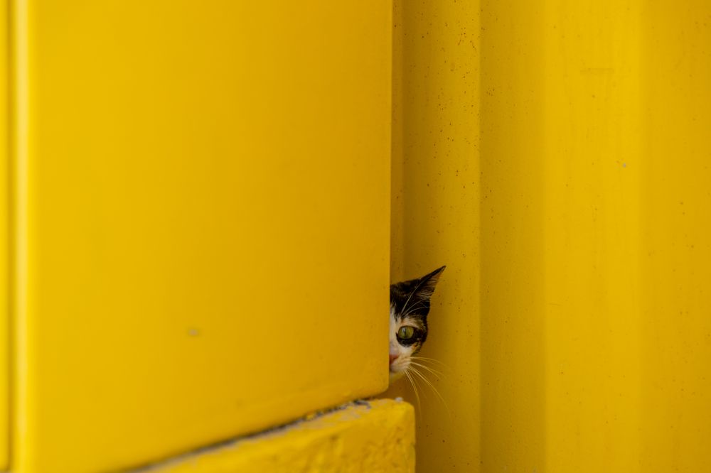 Photograph by Sarkar Arnab