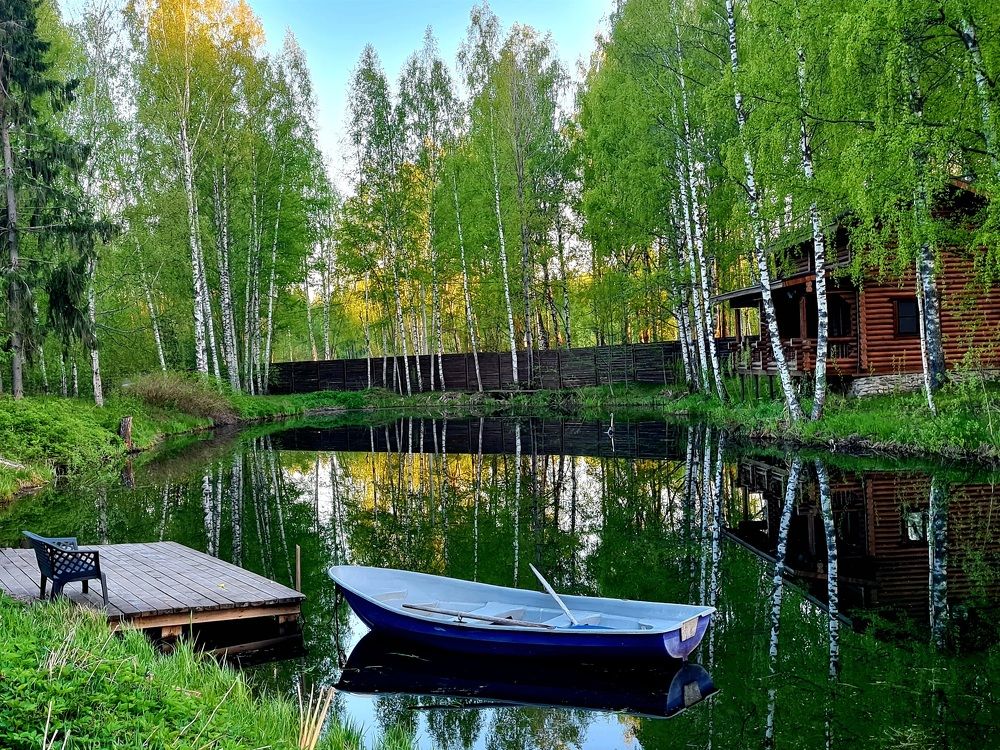 Тихая гавань