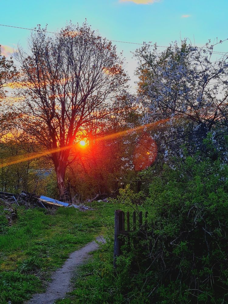 Золотой час