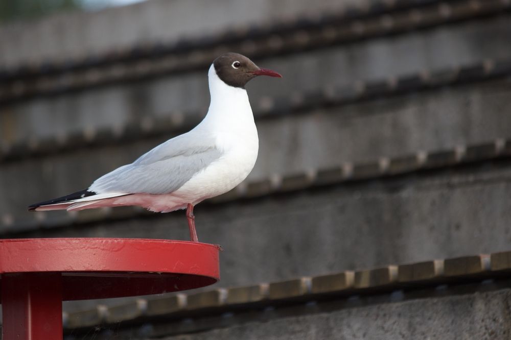 Photograph by Лариса Белашова