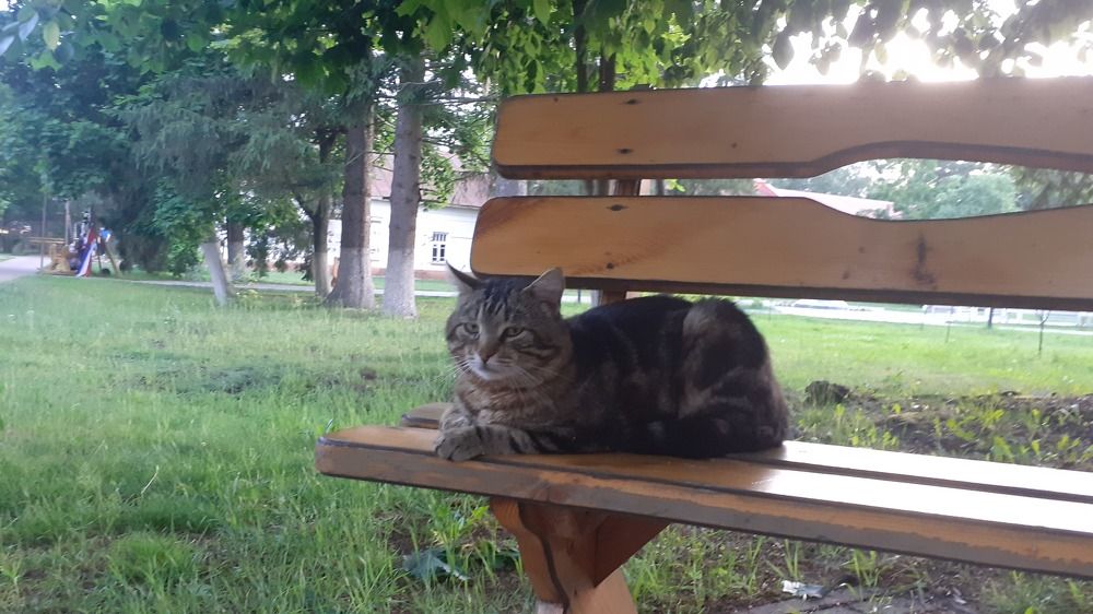 Photograph by Елена Лещева