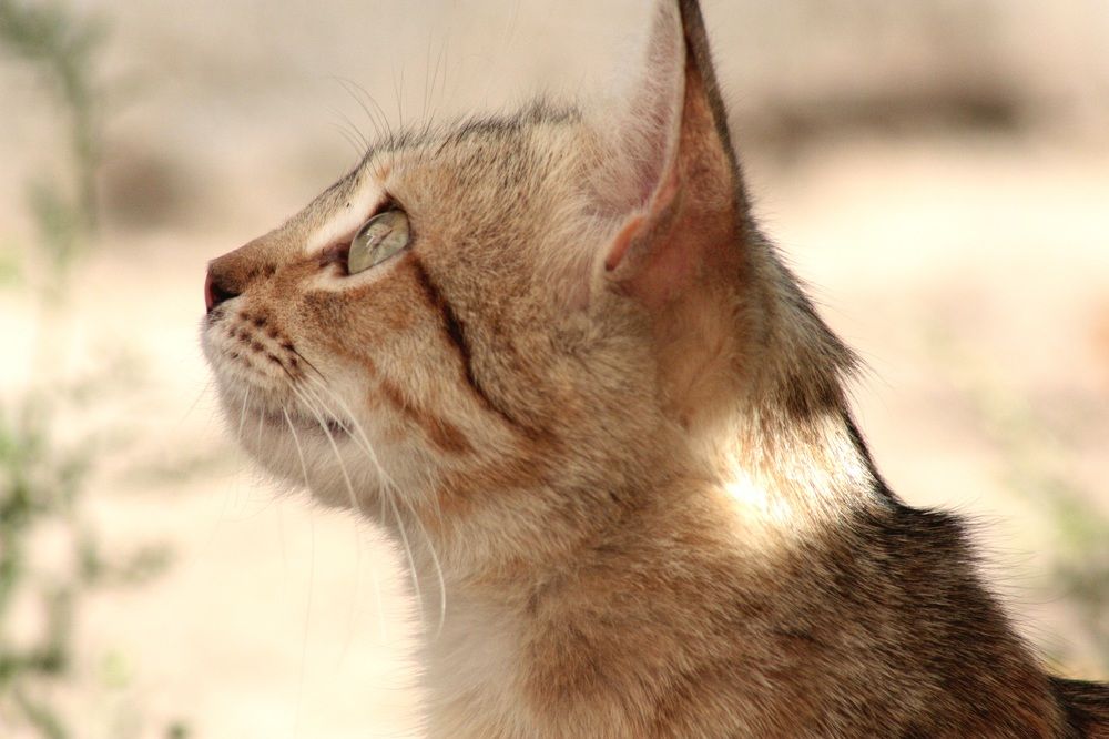 Photograph by Наталья Анисимова