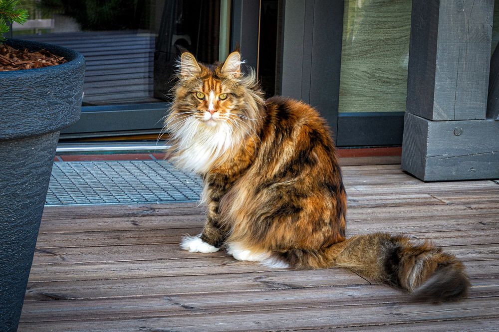 Photograph by Леонид Соболев