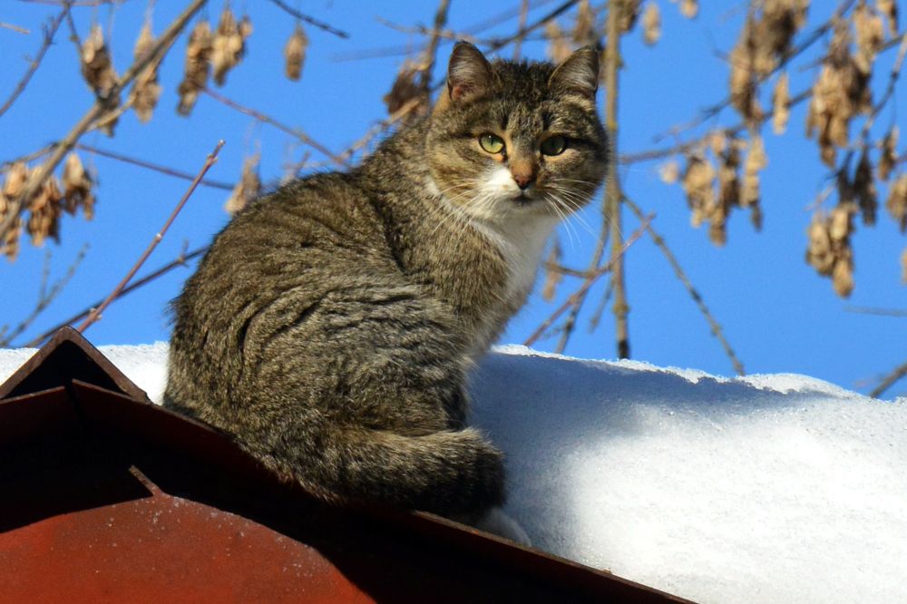 Photograph by Дмитрий Дулин