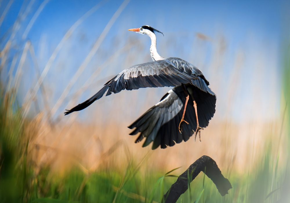 Фотография автора Михаил Ездаков