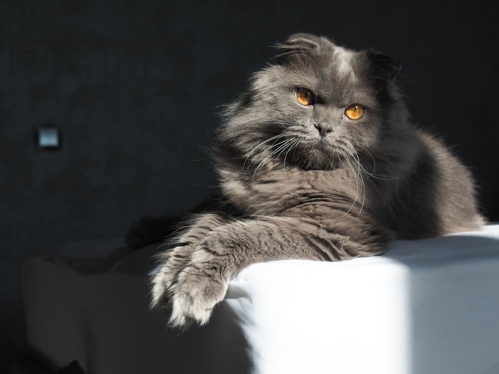 Photograph by Olga Nevedrova