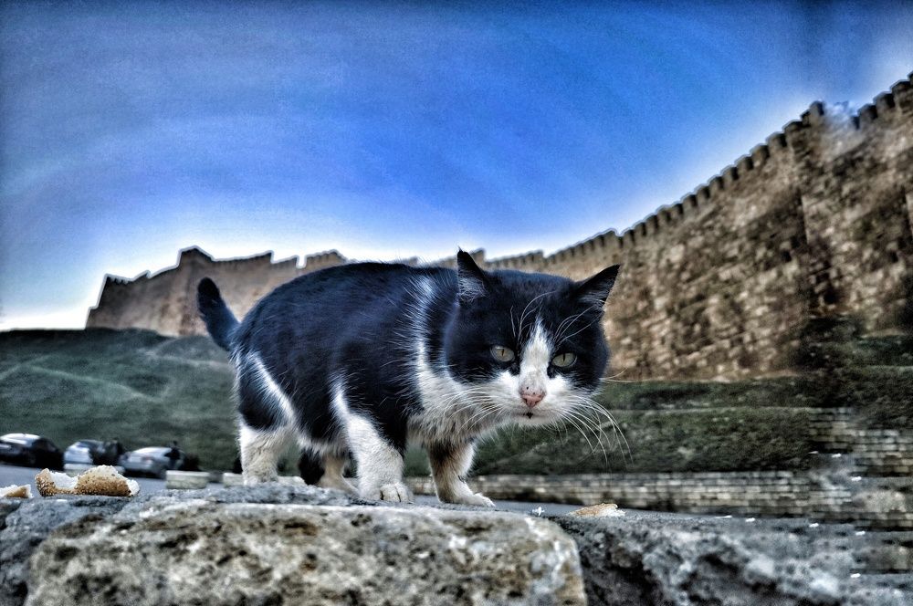 Photograph by Olga Nevedrova