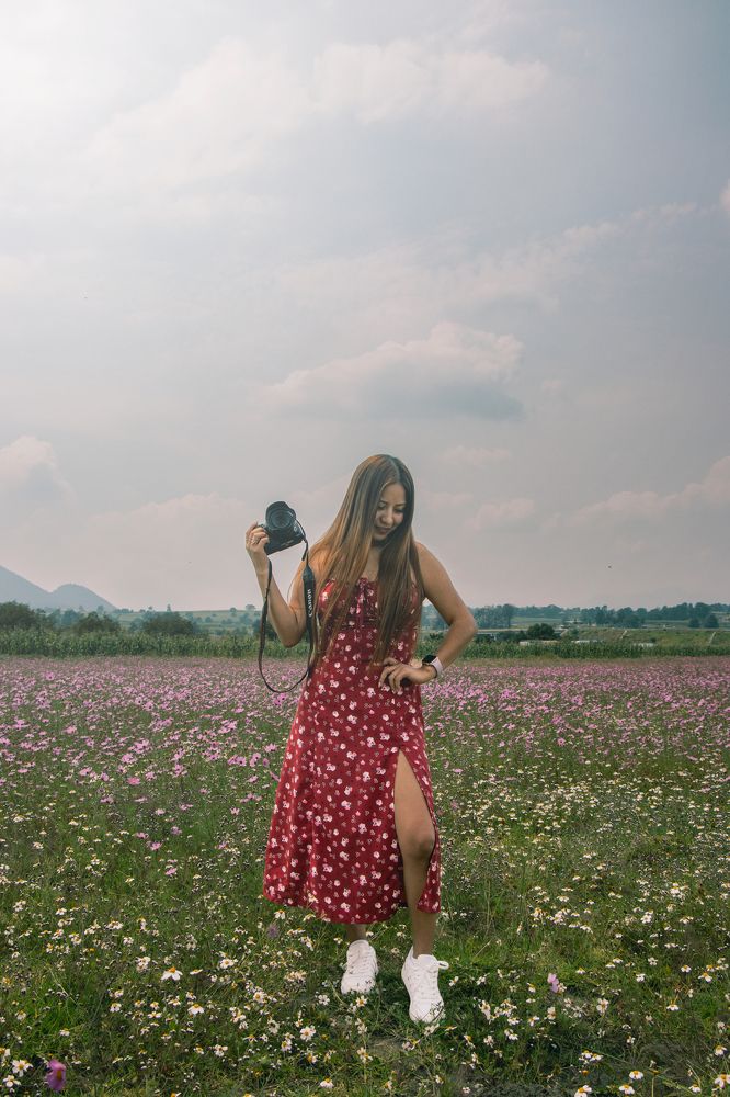 La dama de la camara