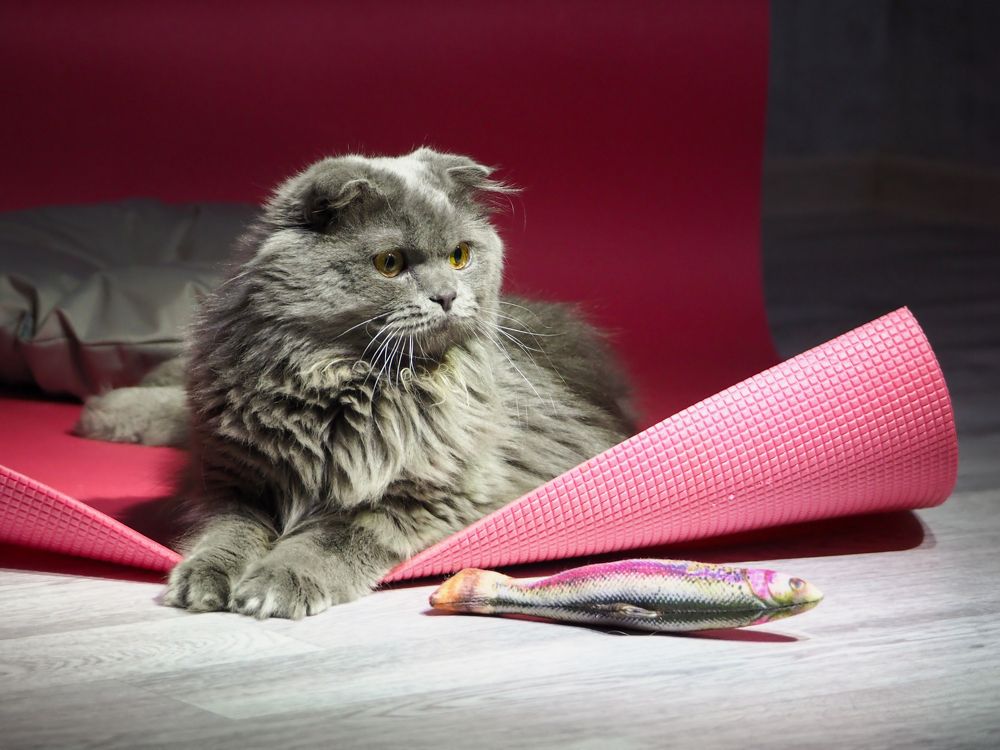 Photograph by Olga Nevedrova