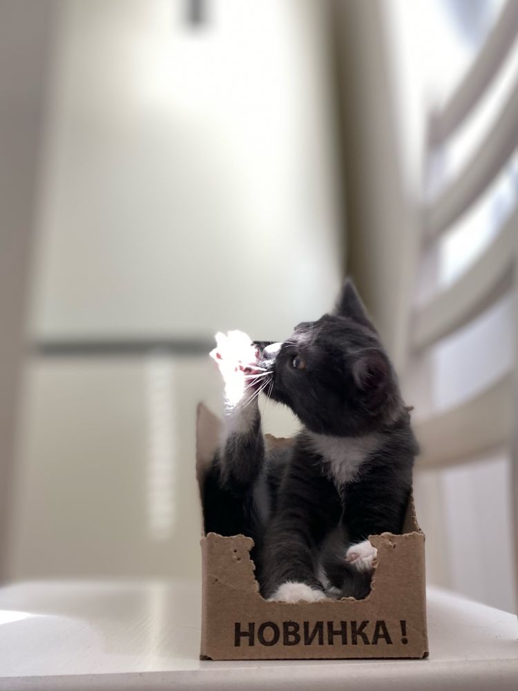 Photograph by Olga Nevedrova