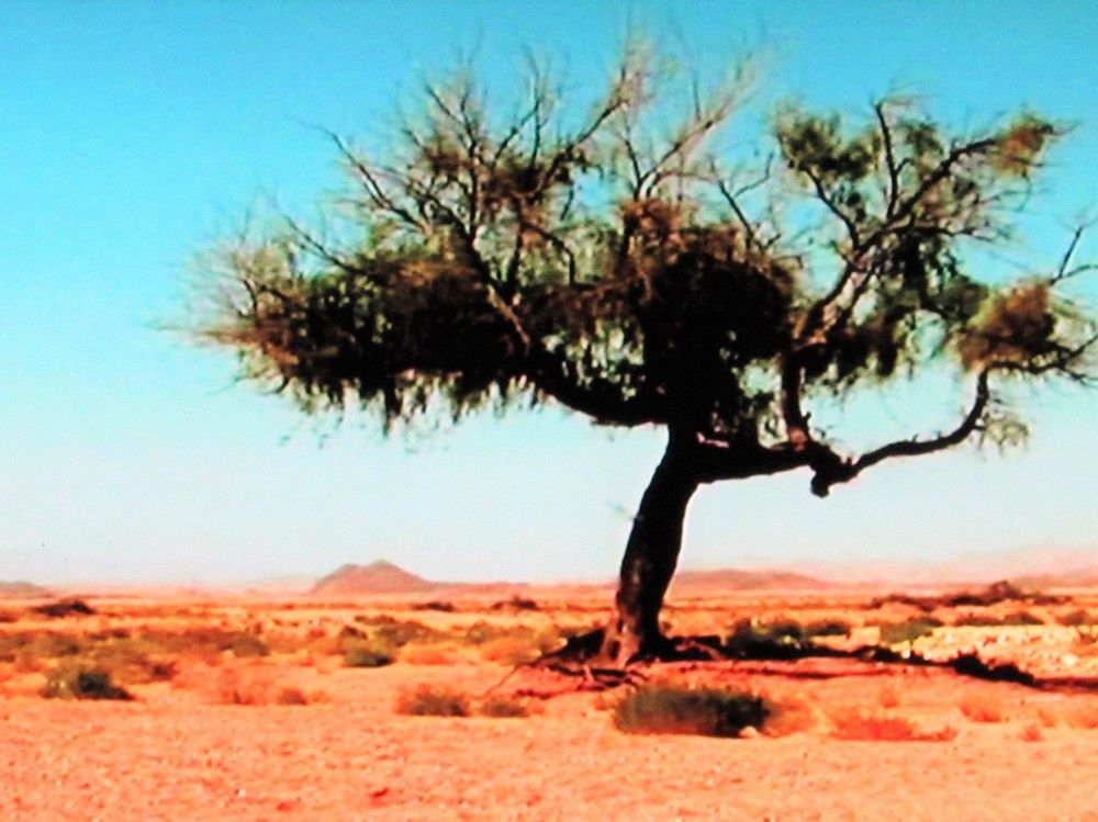 Photograph by Галина