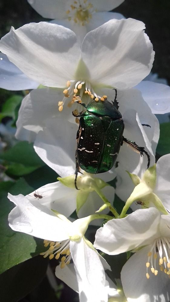 Photograph by Виктория