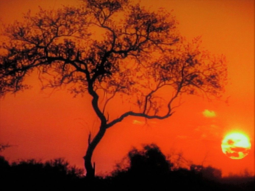 Photograph by Галина