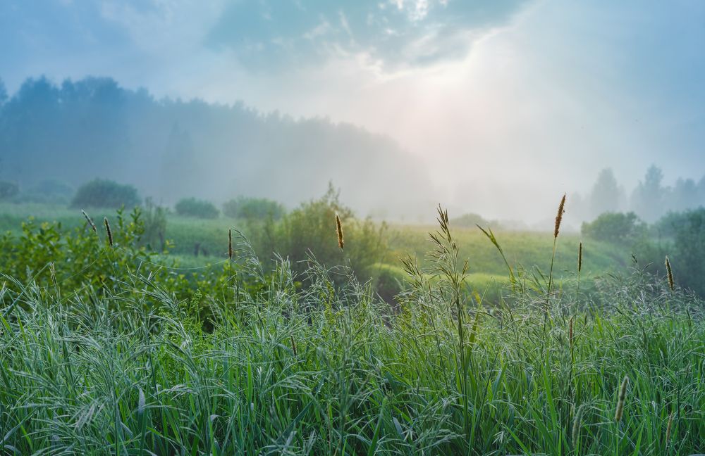 Photograph by Вячеслав Куртенков