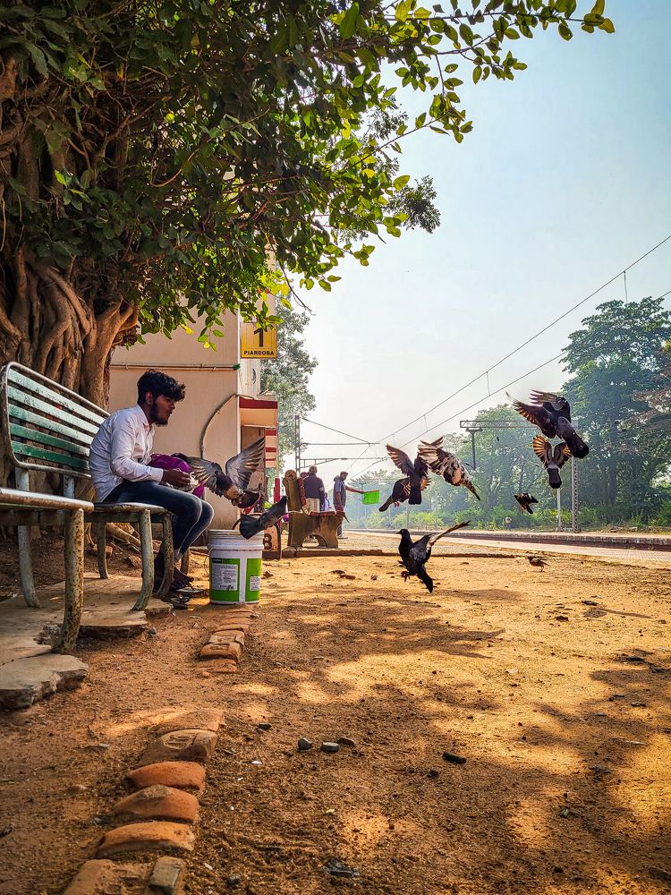Morning Harmony at the Train Station