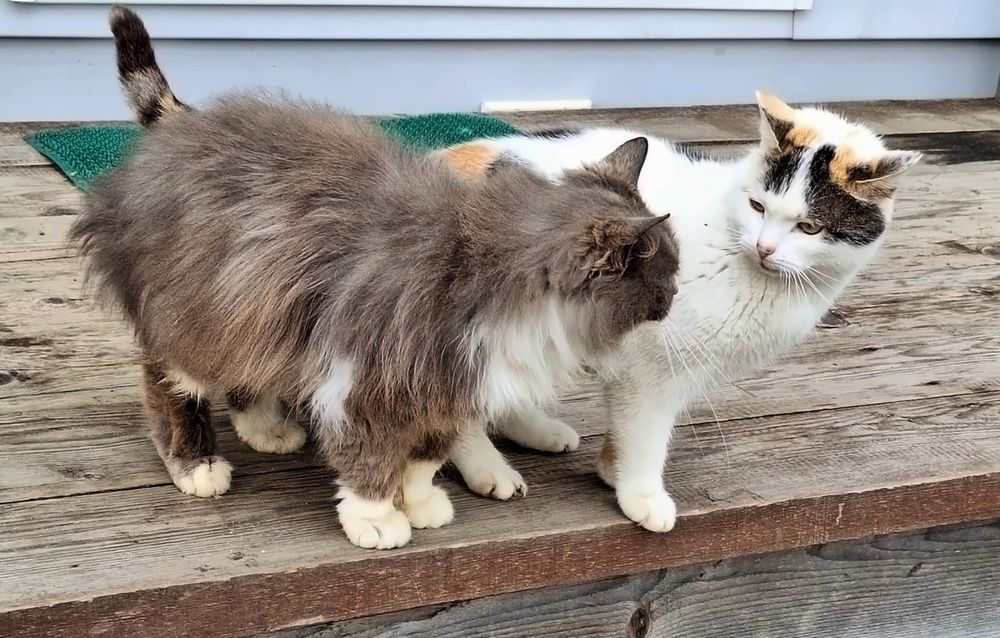 Photograph by Татьяна Слесарева