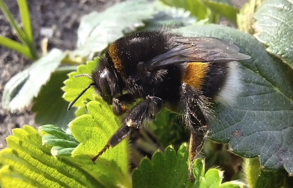 Photograph by Татьяна Слесарева
