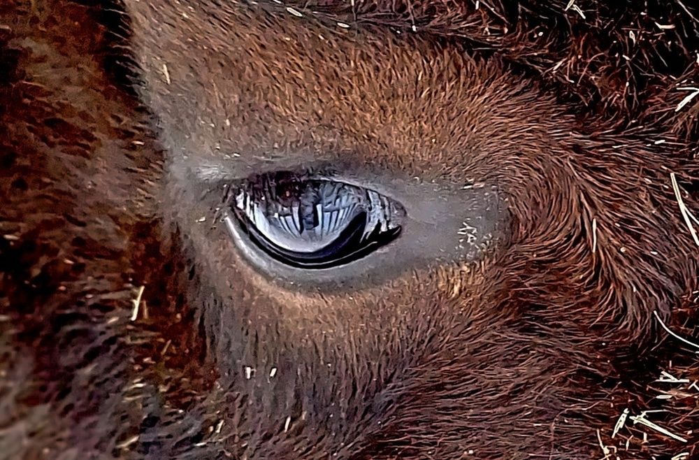 Photograph by Татьяна Слесарева